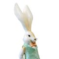 Floristik24 Coniglietta coniglietta coniglietto decorazione Pasqua H36cm 2 pezzi
