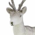 Floristik24 Cervo decorativo floccato/nevicato 27,5 cm 2 pezzi