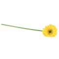 Floristik24 Fiori Artificiali Gerbera Sole Giallo Fiore Da Giardino 47cm