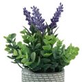 Floristik24 Lavanda artificiale in vaso ceramica viola verde H22cm