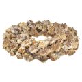 Floristik24 Corona di conchiglie decorazione da parete Corona decorativa naturale da appendere Ø35 cm