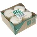 Floristik24 Candeline Pure Nature Lights Durata 10 ore Candele cera di colza 8 pz