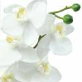 Floristik24 Orchidea artificiale fiore artificiale bianco Ø6,5-8 cm 77 cm