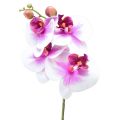 Floristik24 Orchidea Phalaenopsis Artificiale 4 Fiori Bianco Rosa 72cm