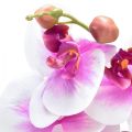 Floristik24 Orchidea Phalaenopsis Artificiale 4 Fiori Bianco Rosa 72cm