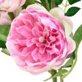 Floristik24 Ramo di rosa rose di seta ramo artificiale rose rosa crema 79 cm