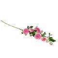 Floristik24 Ramo di rosa rose di seta ramo artificiale rose rosa crema 79 cm