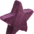 Floristik24 Stelle decorative sparse stelle di velluto floccato bacca viola 4/5 cm 40pz