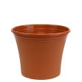 Floristik24 Vaso “Irys” in plastica terracotta Ø22cm H18cm, 1pz