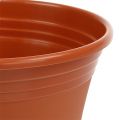 Floristik24 Vaso “Irys” in plastica terracotta Ø22cm H18cm, 1pz