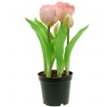 Floristik24 Fiori Artificiali in Vaso Tulipani Artificiali Rosa Gialli 22,5 cm