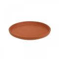 Floristik24 Sottobicchiere, ciotola in ceramica, terracotta Ø13,5 cm