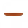 Floristik24 Sottobicchiere, ciotola in ceramica, terracotta Ø13,5 cm