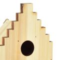 Floristik24 Casetta per nidi in legno per casetta per uccelli, cinciallegra, abete H22,5 cm, 3 pezzi