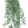 Floristik24 Pianta verde pensile pianta pensile artificiale con boccioli verdi, bianchi 100 cm