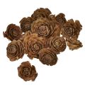 Floristik24 Coni di cedro tagliati come una rosa di cedro rosa 4-6 cm naturali 50 pezzi.