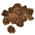 Floristik24 Coni di cedro tagliati come una rosa di cedro rosa 4-6 cm naturali 50 pezzi