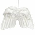 Floristik24 Ali d&#39;angelo realizzate con piume bianche – romantica decorazione natalizia da appendere 25×18 cm 3pz
