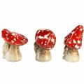 Floristik24 Gnomi delle fiabe, personaggi dei funghi velenosi in set da 6 - rosso con pois bianchi, 7,5 cm - decorazione magica per il giardino e la casa