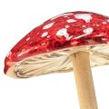 Floristik24 Funghi velenosi su bastoncino, rossi, 5,5 cm, set da 6 - funghi autunnali decorativi per il giardino e la casa