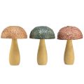 Floristik24 Funghi in legno funghi decorativi decorazione autunnale legno assortiti 11×7,5 cm 3 pz