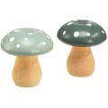 Floristik24 Funghi in legno funghi decorativi agarichi volanti in legno verde menta 5 cm 8 pezzi