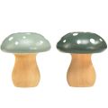 Floristik24 Funghi in legno funghi decorativi agarichi volanti in legno verde menta 5 cm 8 pezzi