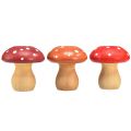 Floristik24 Funghi in legno Funghi decorativi Agarichi volanti in legno Rosso arancione 5 cm 9 pezzi