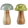 Floristik24 Funghi in legno funghi decorativi legno grigio verde Ø6cm H10cm 2 pezzi
