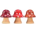 Floristik24 Funghi In Legno Funghi Decorativi Mini Funghi Funghi In Legno Rosso Arancione 4cm 12pz