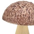 Floristik24 Funghi in legno funghi decorativi decorazione da tavola autunno marrone naturale 5×6cm 8pz