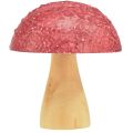 Floristik24 Funghi in legno funghi decorativi decorazione da tavola autunno rosso naturale 5×6cm 9pz