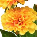 Floristik24 Fiori artificiali decorativi dalie artificiali giallo arancio 50 cm