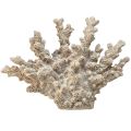 Floristik24 Decorazione corallina dettagliata in poliresina in grigio - 26 cm - eleganza marittima per la tua casa