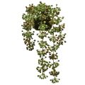 Floristik24 Filo di perle artificiali di piante verdi in palline di muschio 38 cm