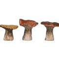 Floristik24 Figure decorative a forma di fungo ispirate alla natura in set da 3 - diverse tonalità di marrone, 6,4 cm - accenti affascinanti per il giardino e la casa