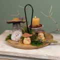 Floristik24 Funghi allegri con facce in set da 3 - varie tonalità di marrone, 6,6 cm - decorazione divertente per il giardino e la casa